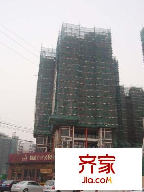 頤澳公園印象實景圖工程進(jìn)度（2010-12-10）