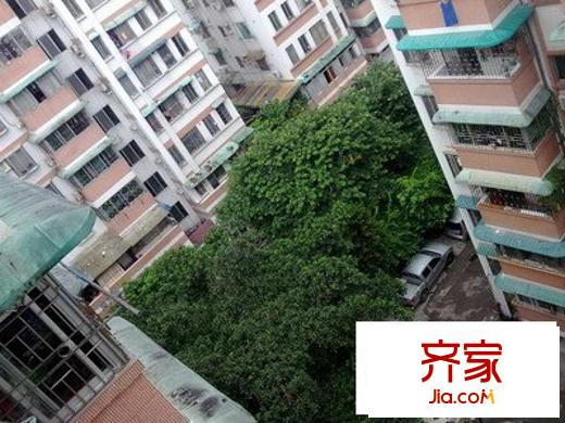 龍珠花園外景圖 