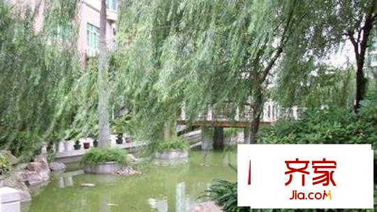 龍珠花園外景圖 