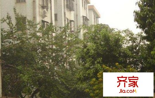 連云小區(qū)外景圖