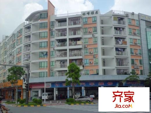 林峰雅居外景圖 
