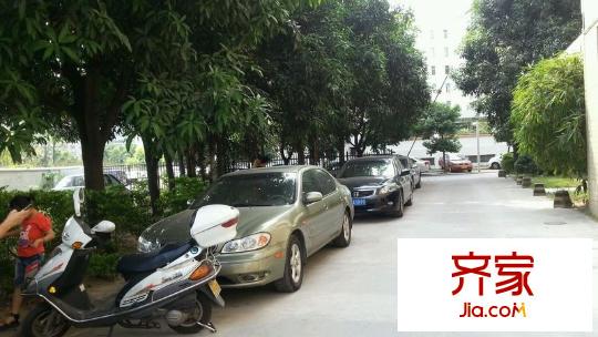 金惠樓外景圖