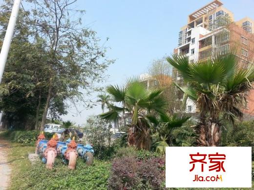 盛大陽(yáng)光花園外景圖