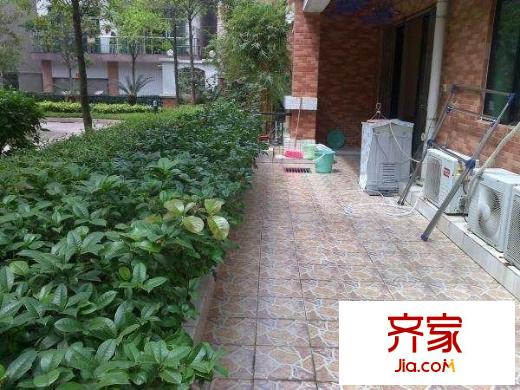 西苑小區(qū)外景圖 
