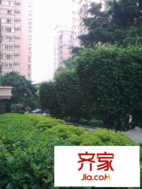 高基街小區(qū)外景圖 