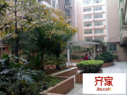 羅湖一路小區(qū)外景圖 