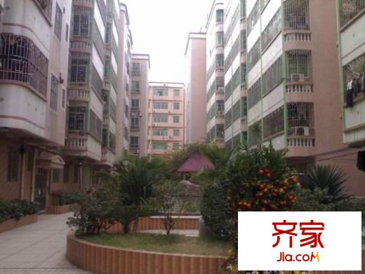 羅湖一路小區(qū)外景圖 