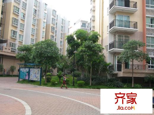 陽光棕櫚園外景圖