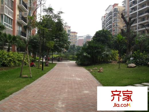 陽光棕櫚園外景圖
