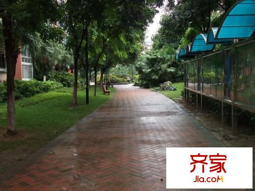 陽(yáng)光棕櫚園外景圖 
