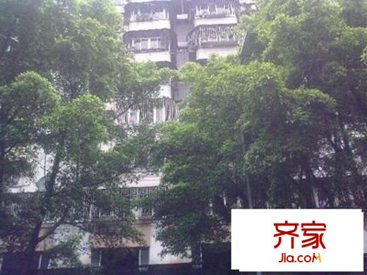 唐園東小區(qū)外景圖 