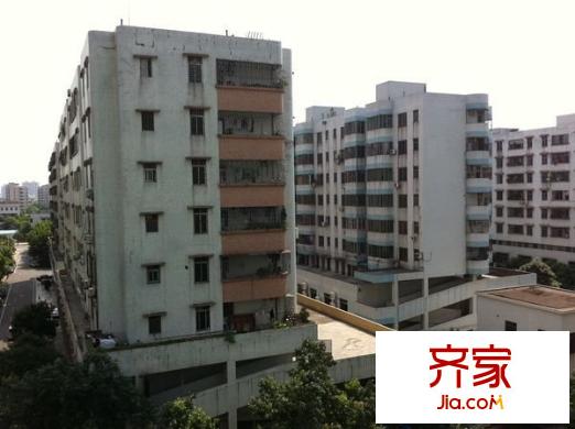 平洲商業(yè)城外景圖 