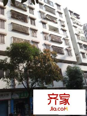 平洲商業(yè)城外景圖 