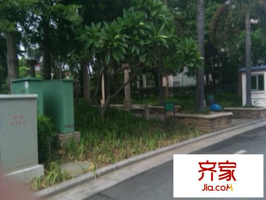 碧桂花城別墅外景圖 