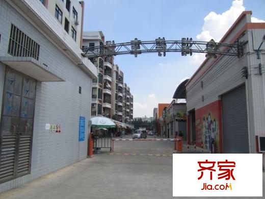 金湖廣場(chǎng)外景圖 
