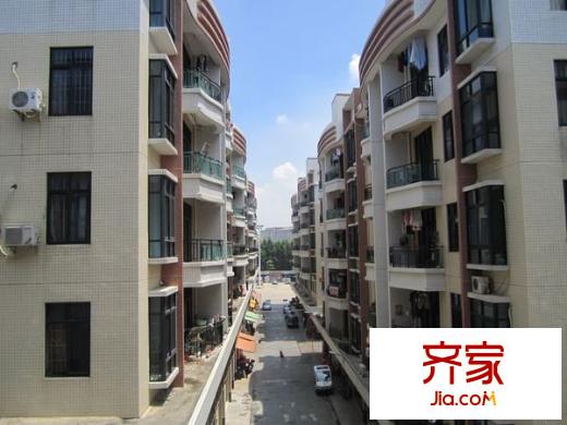 金湖廣場(chǎng)外景圖 