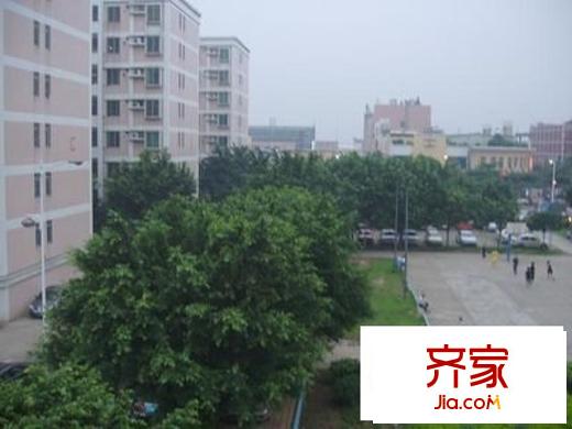 城南新區(qū)外景圖 