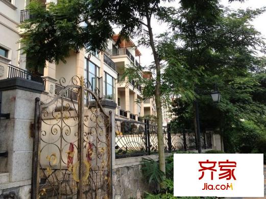 勁嘉金棕櫚灣: