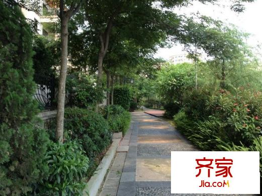 勁嘉金棕櫚灣: