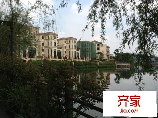 勁嘉金棕櫚灣: