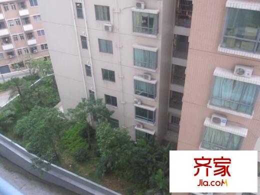 鳳嶺名都外景圖 