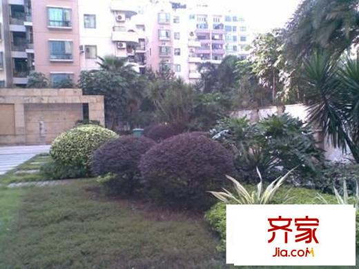 鳳嶺名都外景圖 