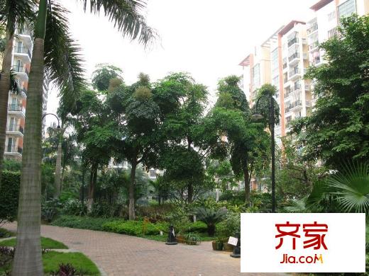 陽光棕櫚園外景圖
