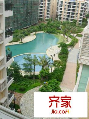 陽光棕櫚園外景圖