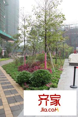 時代糖果實(shí)景圖三期園林（2012-03）