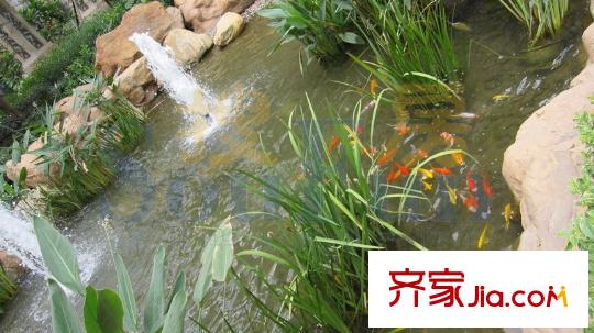 時(shí)代糖果配套圖二期小區(qū)景觀（2010.08.19）