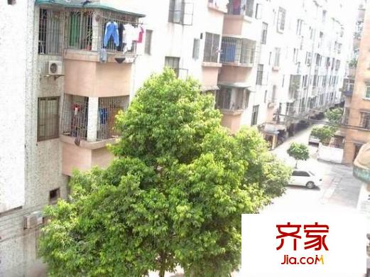 東苑小區(qū)外景圖 