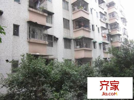 東苑小區(qū)外景圖 