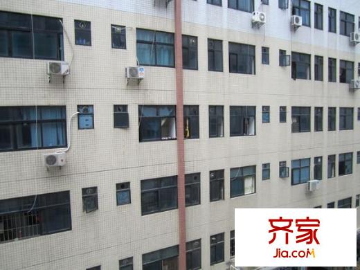 金湖廣場(chǎng)外景圖 