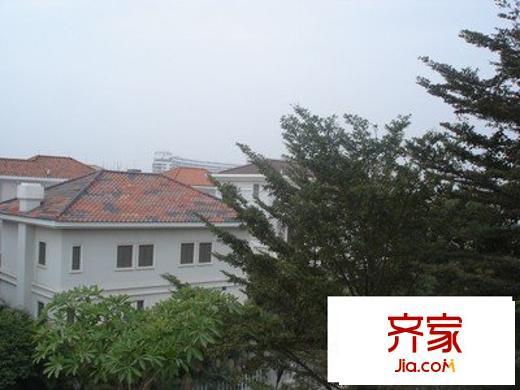 陳村半島碧桂園外景圖 