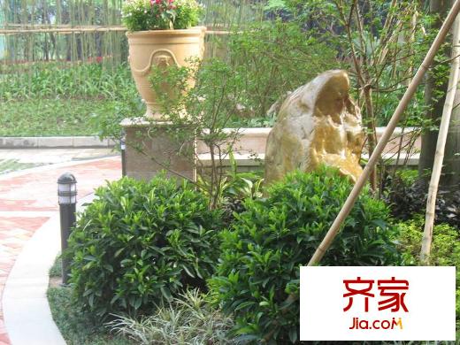 東江國際小區(qū)園林（2010.9.1）