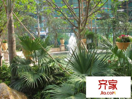 東江國際小區(qū)園林（2010.9.1）