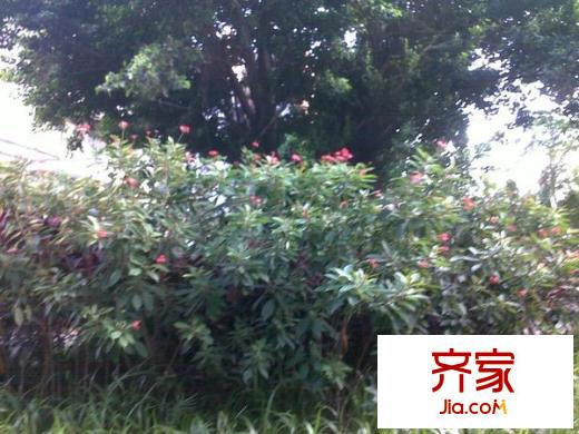 保利花園外景圖 