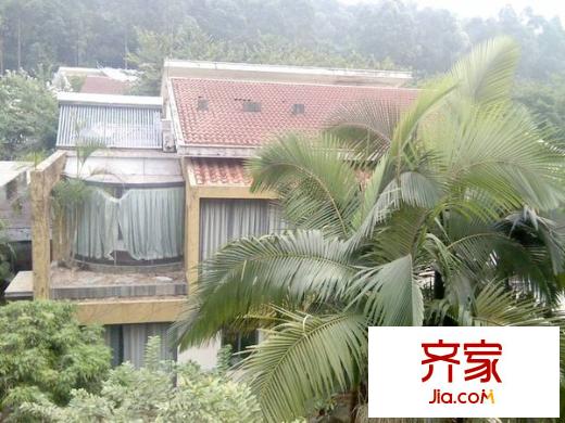 天安鴻基花園外景圖 