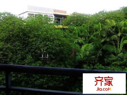 宏晴軒外景圖 
