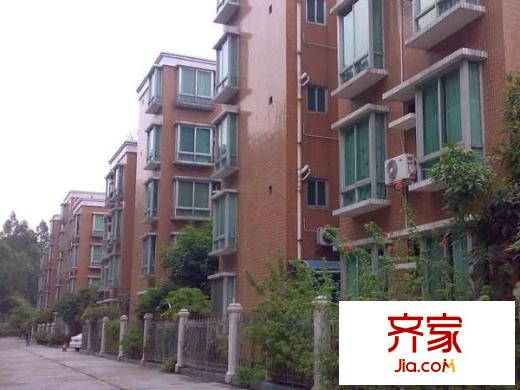 順德碧桂園中南區(qū)