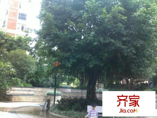 保利花園外景圖 