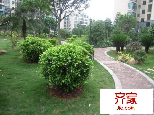 俊博苑外景圖 