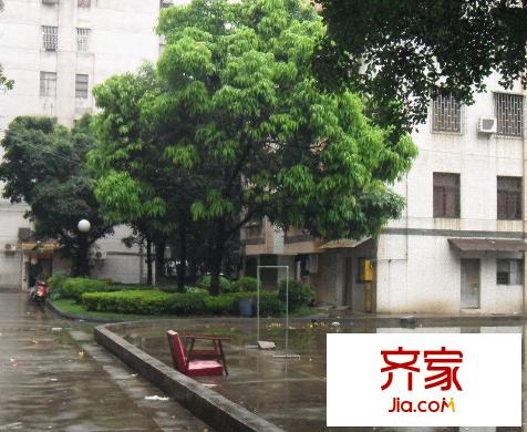 海棠村外景圖 