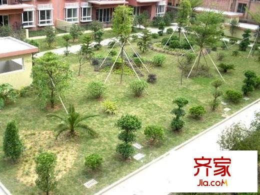 金沙時(shí)尚麗居外景圖 