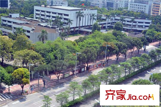 南海星匯云錦項(xiàng)目周邊公交車站