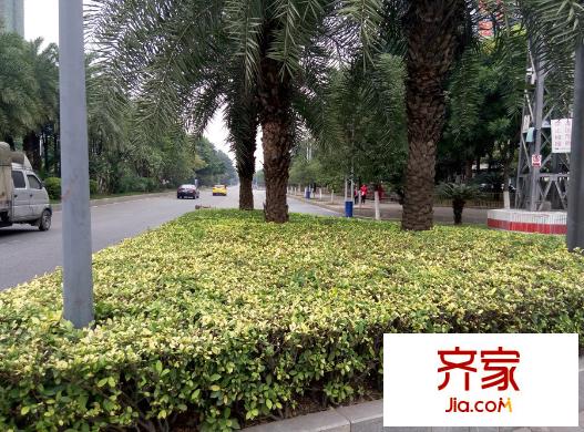 富豐君御項(xiàng)目周邊街道實(shí)景（2015-11-29）