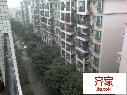 俊怡花園外景圖 