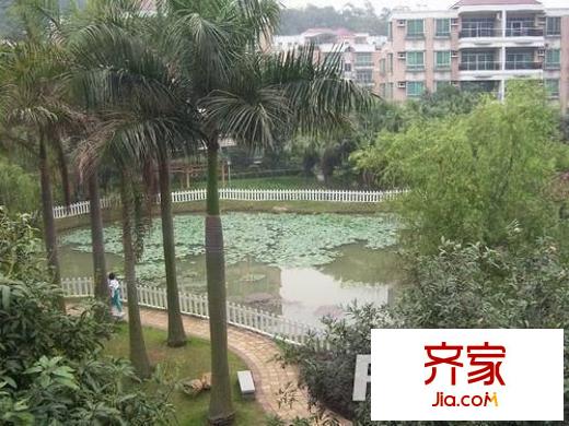 順德碧桂園正苑外景圖