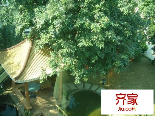 順德碧桂園正苑外景圖