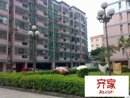 海琴軒外景圖 
